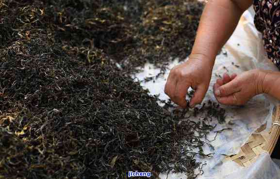 品質、來源與真假鑒別 揭秘普洱茶廠茶葉的真實性